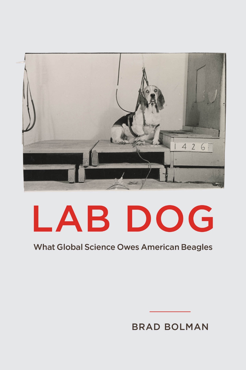 Lab Dog <br>What Global Science Owes American Beagles